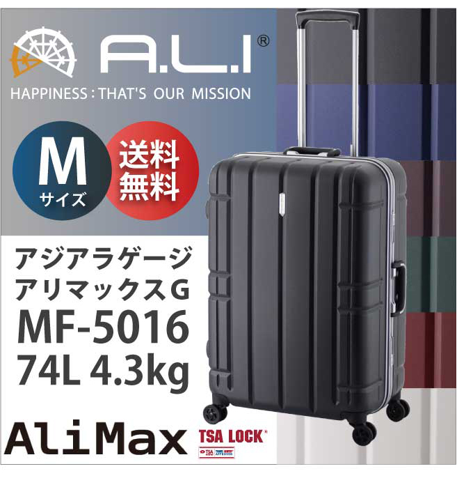 スーツケース Mサイズ・TSAロック・キャリーバッグ　送料無料 最新デザイン G