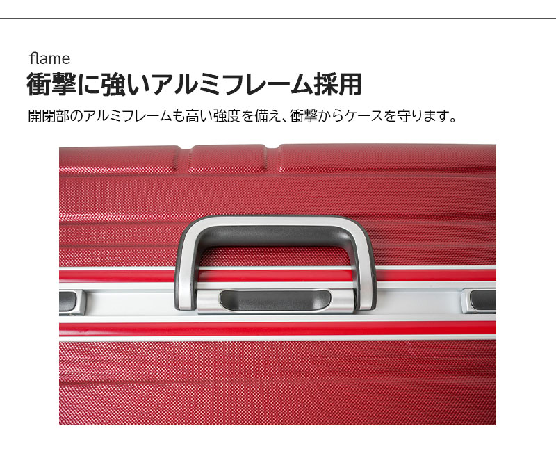 送料無料】スカイナビゲーター (SKYNAVIGATOR) SK-0850-59