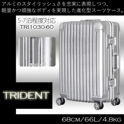 siffler/VtygCfg(TRIDENT)t[X[cP[X TRI1030-60 66L 