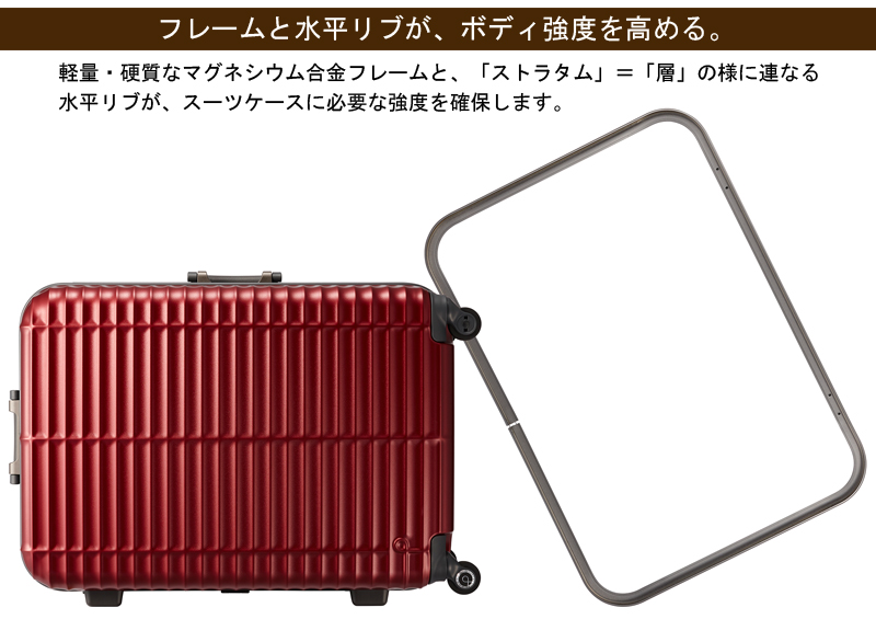 PROTECA – ACE Global Online Store