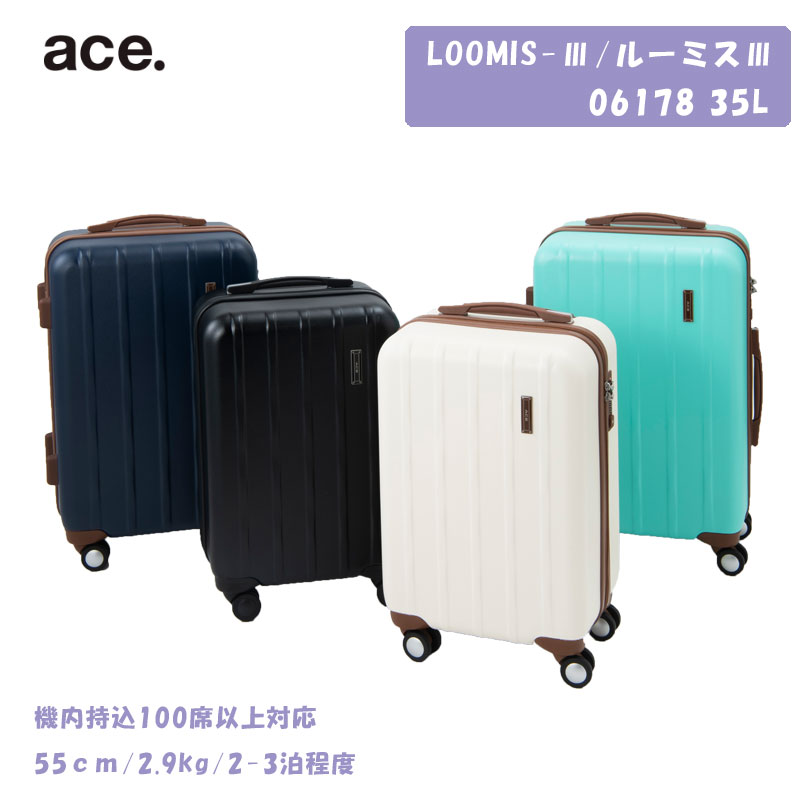 SALE】【機内持ち込み】【送料無料】ACE/エース ルーミス3 06178 35L