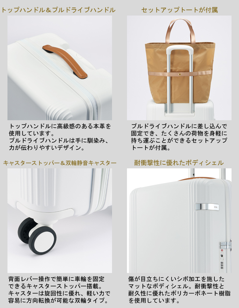 新色追加】【機内持ち込み】【送料無料】エース(ACE) ace