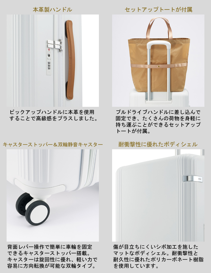 新色追加】【送料無料】エース(ACE ace. ファーニットZ 05043 新色追加】【送料無料】エース(ACE ace. ファーニットZ 05043