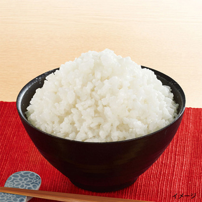 �����𒍂��ō����邾���̂��уp�b�N�I���~�p�ɂ��I�y���S�� ���� 1�H�� �X�v�[���t���z  �A���t�@�� �ܖ�����5�N 100%���Y�� �A�����M�[�Ή� �o�R �L�����v �n���[�� ��� ���~ ���H �ۑ��H �ЊQ�H �A���t�@�[�H�i