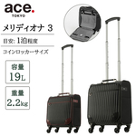 ace.TOKYO fBIi3 19L \tgL[P[X \tgL[obO