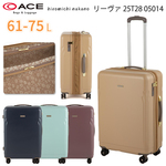 yViz G[X(ACE) hiromichi nakano [@  X[cP[X 61-75L g@\ 05014 q~`iJm L[P[X