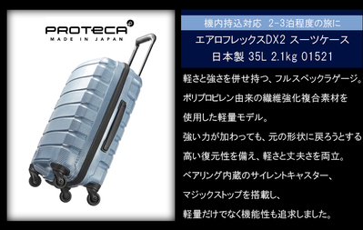 yVizy@݁zyz{ G[X(ACE)PROTECA/veJ GAtbNXDX2 X[cP[X { 35L 2.1kg 01521
