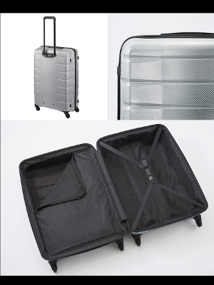 yVizy10ȏΉzyz{ G[X(ACE)PROTECA/veJ GAtbNXDX2 X[cP[X { 100L 3.6kg 01524