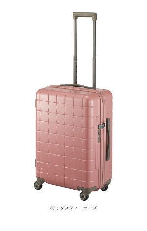 �y3-5���Ή��zACE PROTECA�^�v���e�J 360G4 �X�[�c�P�[�X 53L 02422 ���{�� �W�b�p�[�L�����[ �X���[�V�b�N�X�e�BG4