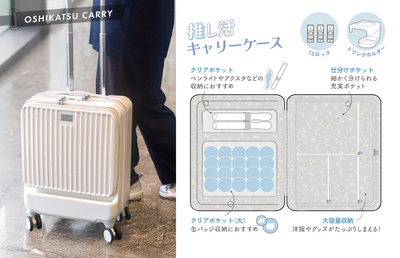 �y�@���������݁z�_�Y����(dazzlin) �t�����g�I�[�v���L�����[ ������ �X�[�c�P�[�X 36���b�g�� DZ102 �W�b�p�[�L�����[ A4/13�C���`PC�Ή� �h�����N�z���_�[ TS���b�N TTC �R���T�C�X