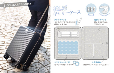 �y�@���������݁z�_�Y����(dazzlin) �W�b�p�[�L�����[�P�[�X ������ �X�[�c�P�[�X 36���b�g�� DZ101 �t�@�X�i�[�^�C�v �h�����N�z���_�[ TS���b�N TTC �R���T�C�X